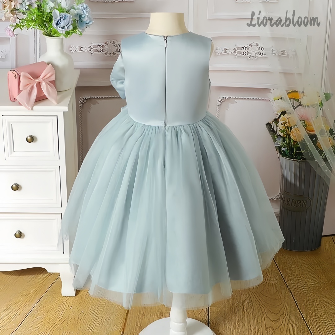 Blue Children's Evening Gown F - Large Women'S Formal Wear review and price
