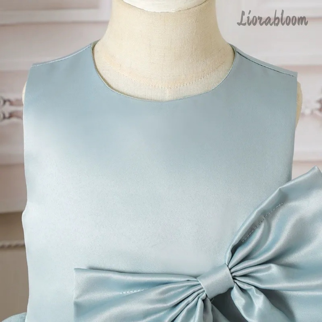 Blue Children's Evening Gown F - Large Women'S Formal Wear review and price
