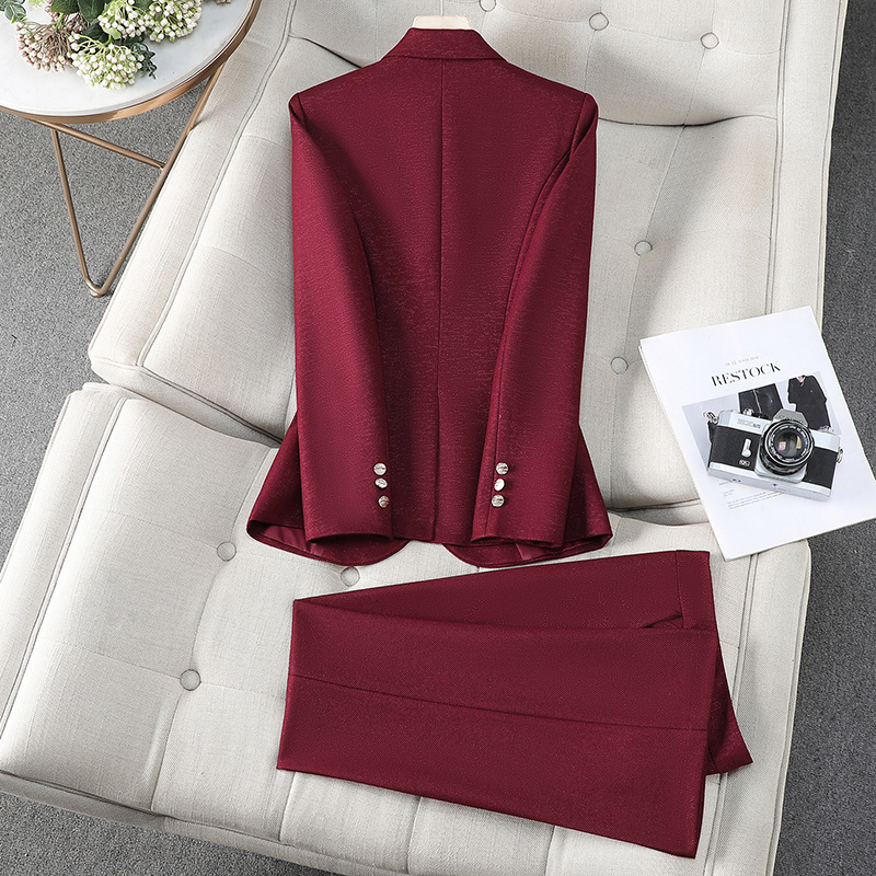 Autumn Winter Ladies Pant Suit - Formal Winter Wear Women Jacket review and price